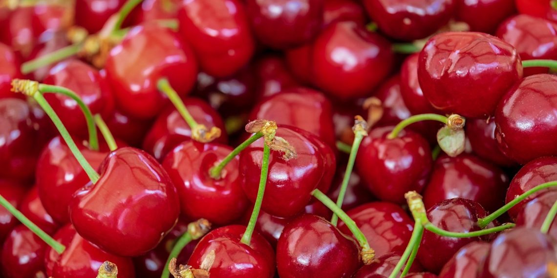 cherries, fruits, food, organic, fresh, harvest, healthy, produce, ripe, sweet cherries, red, delicious, cherries, cherries, cherries, cherries, cherries