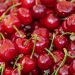 cherries, fruits, food, organic, fresh, harvest, healthy, produce, ripe, sweet cherries, red, delicious, cherries, cherries, cherries, cherries, cherries