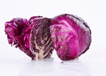 vegetable, food, cabbage, green vegetables, purple cabbage, cabbage, cabbage, cabbage, cabbage, cabbage, purple cabbage, purple cabbage