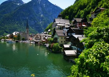 houses near body of water