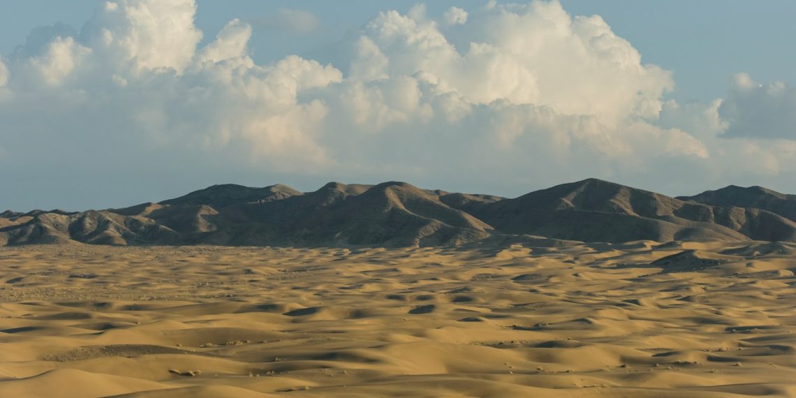 a [UNK] [UNK] of [UNK] [UNK] under a [UNK] sky