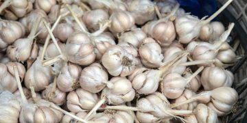 a pile of onions