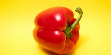 red bell pepper