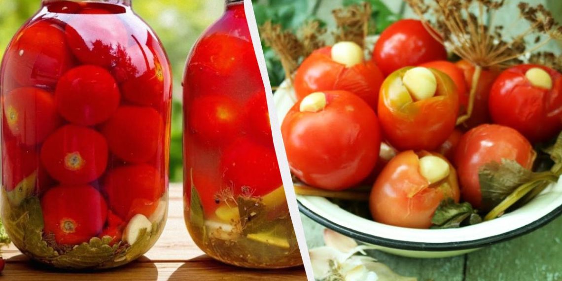Неймовірні квашені помідори з гірчицею: рецепт на мільйон – усі хочуть добавки