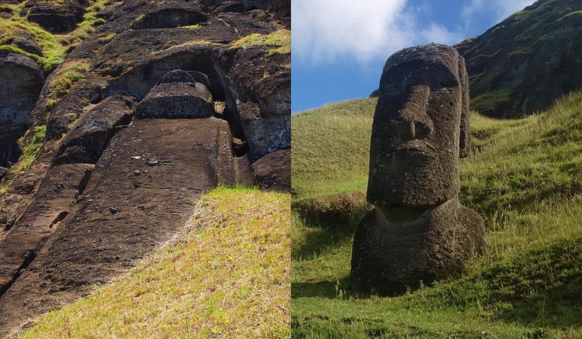 колаж Inreal з фото pixabay.com