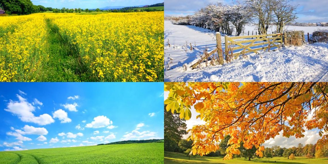 Вчені зробили сенсаційне відкриття про пори року на Землі