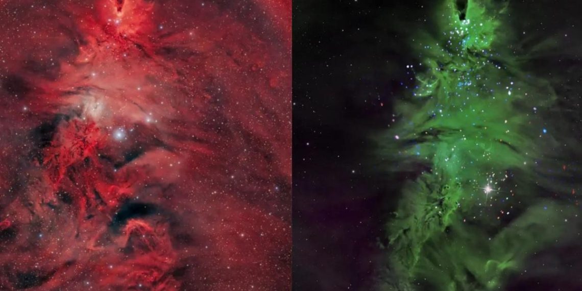 Космічна ялинка: астрономи зафіксували незвичайне зоряне скупчення