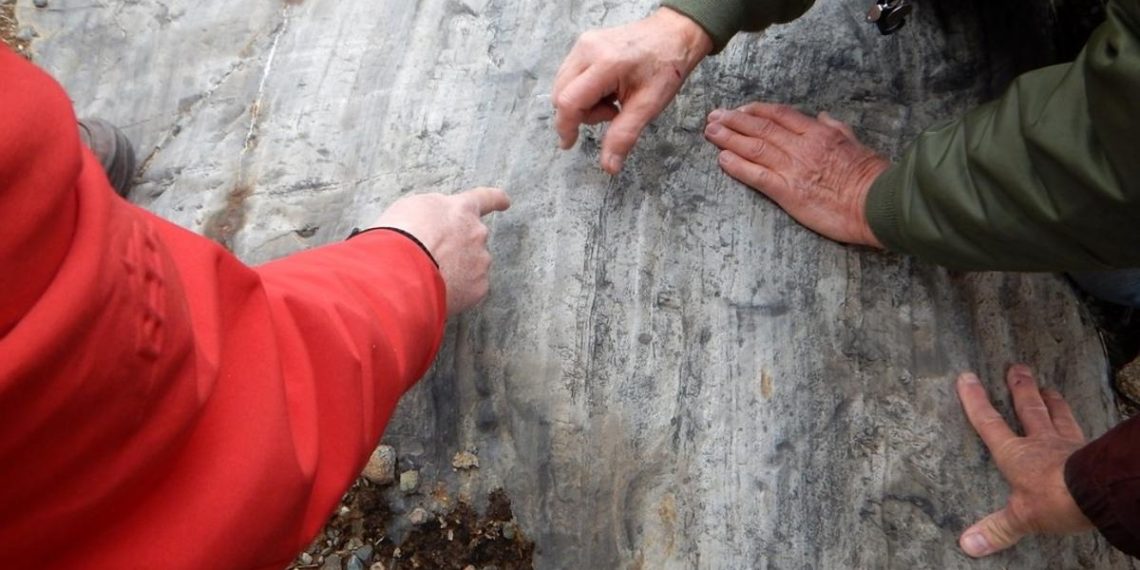 Геологи знайшли в скелі загадкові тунелі, які вказують на існування невідомої істоти