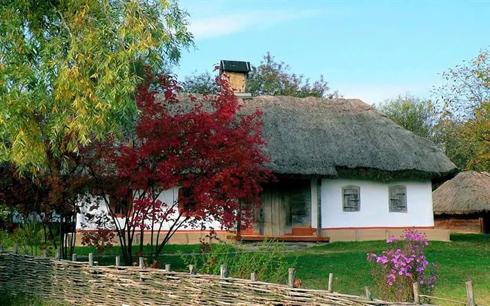 Українські хати XIX століття: культурна спадщина та соціальні аспекти