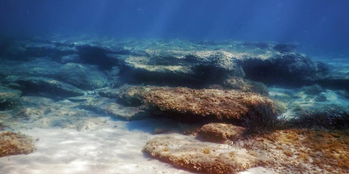 Вчені 10 років спостерігали за дном океану: те, що вони побачили, їх вкрай стривожило