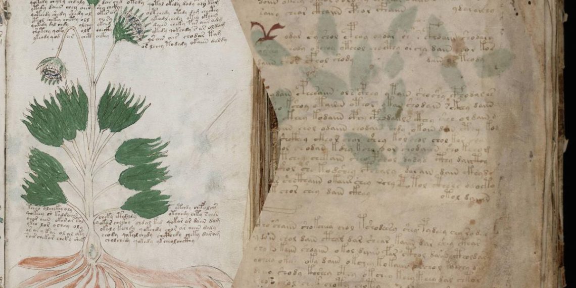 Загадковий рукопис Войнича може виявитися середньовічним шифром: вчені приголомшені