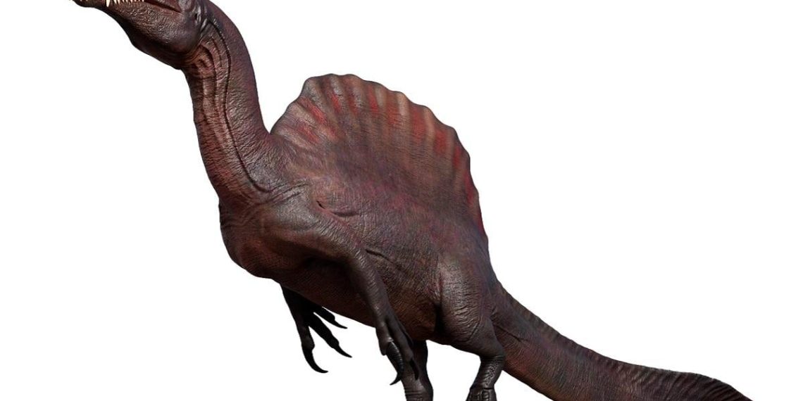 Величезне “вітрило” і довгий череп: біолог розповів про найдивнішого динозавра в історії