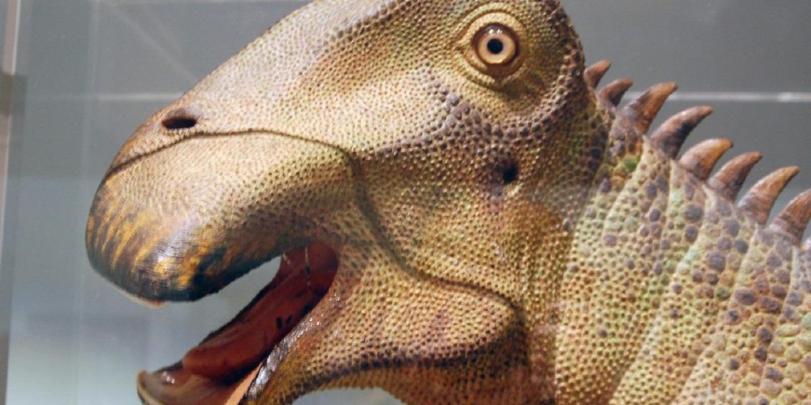 “Мезозойська корова”: біолог розповів про одного з найдивніших динозаврів в історії