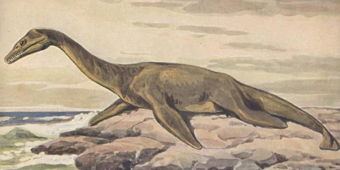 В Алжирі знайшли слід морського “монстра”, який заповнив прогалину в історії динозаврів