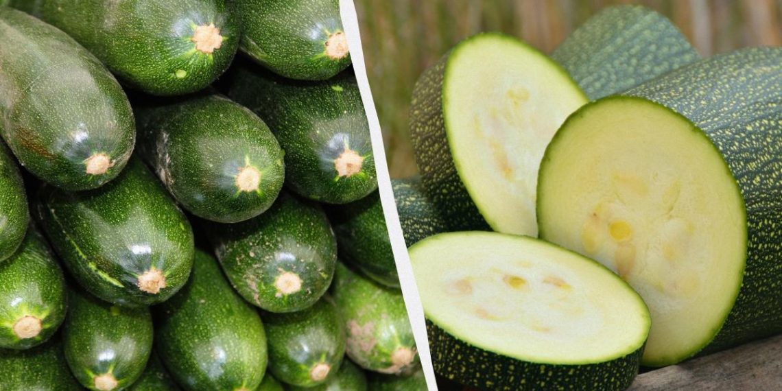 Одні для врожайності, інші для смаку: які сорти кабачків вибрати на город