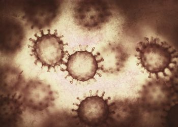 Віруси “підслуховують розмови” один одного, але іноді навіть брешуть: чому це відбувається