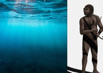 Стародавній підводний світ відкрив науковцям нові подробиці про предків сучасних людей